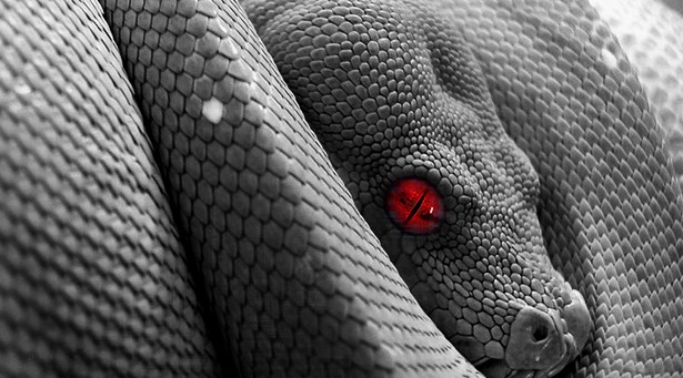 snake-slither-poison-evil